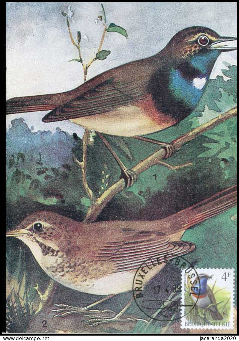 2321 - MK - Buzin : Vogels - Blauwborst #3 - 1981-1990