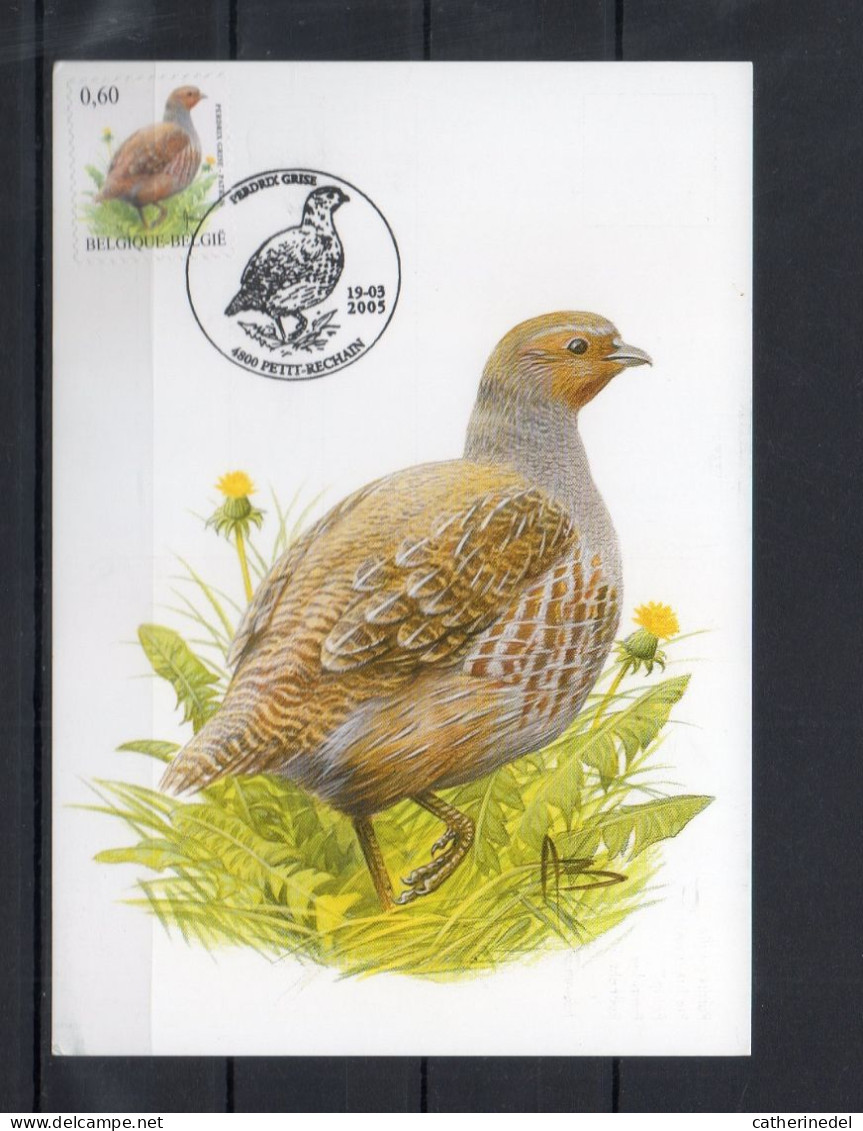 Année 2005 : Carte Maximum 3381 - Oiseaux - Perdrix Grise - Buzin - Obli. Petit-Rechain - 2001-2010