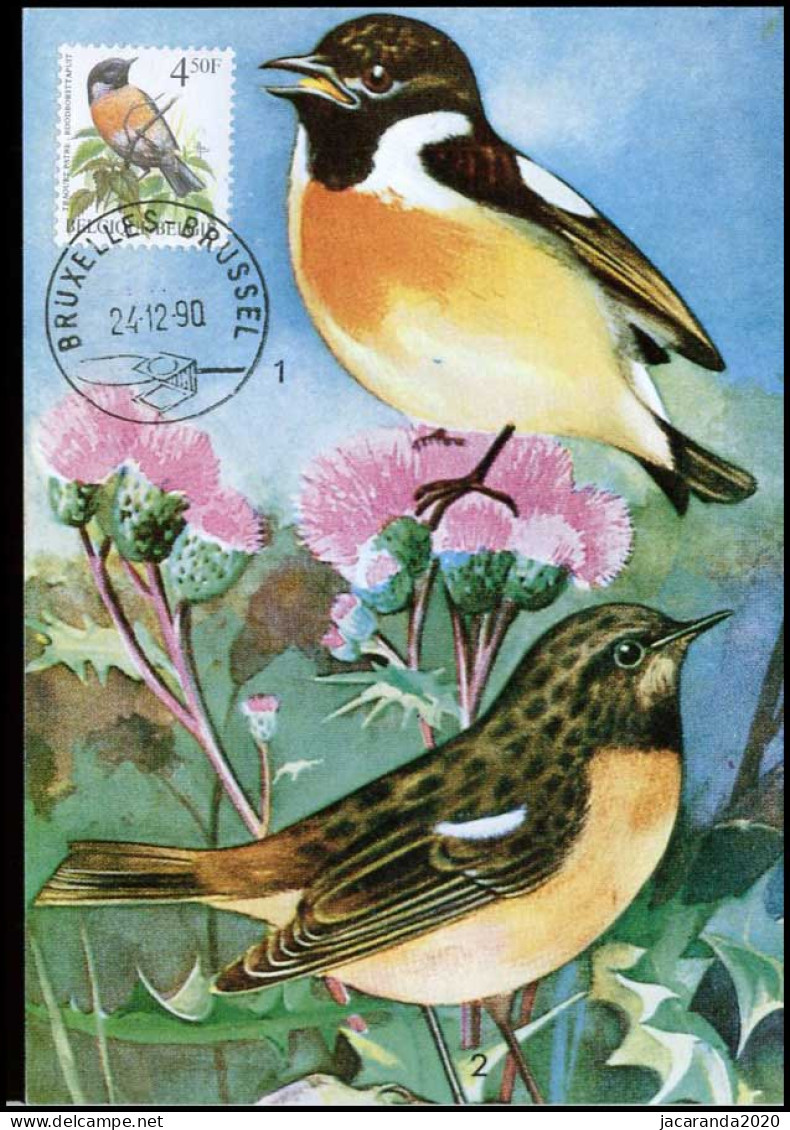 2397 - MK - Buzin : Vogels - Roodborsttapuit #1 - 1981-1990