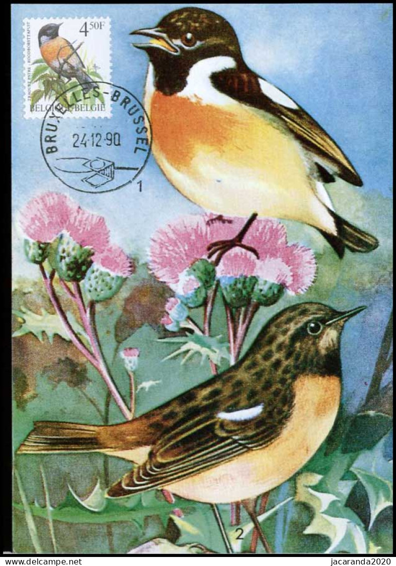 2397 - MK - Buzin : Vogels - Roodborsttapuit #2 - 1981-1990