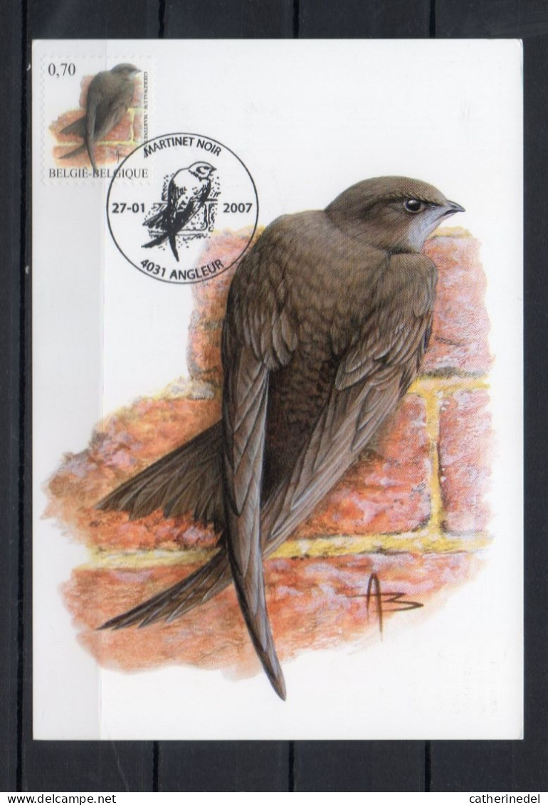 Année 2007 : Carte Maximum 3608 - Oiseaux - Martinet Noir - Buzin - Obli. Angleur - 2001-2010