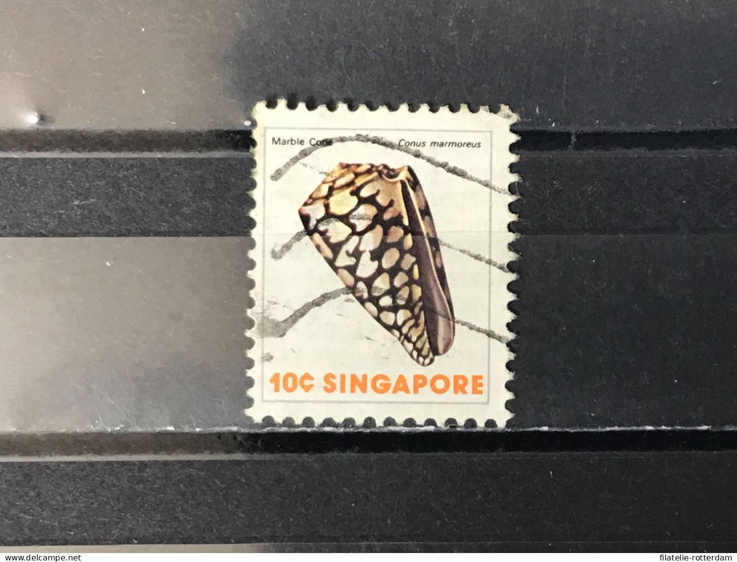 Singapore - Schelpen (10) 1977 - Singapur (1959-...)