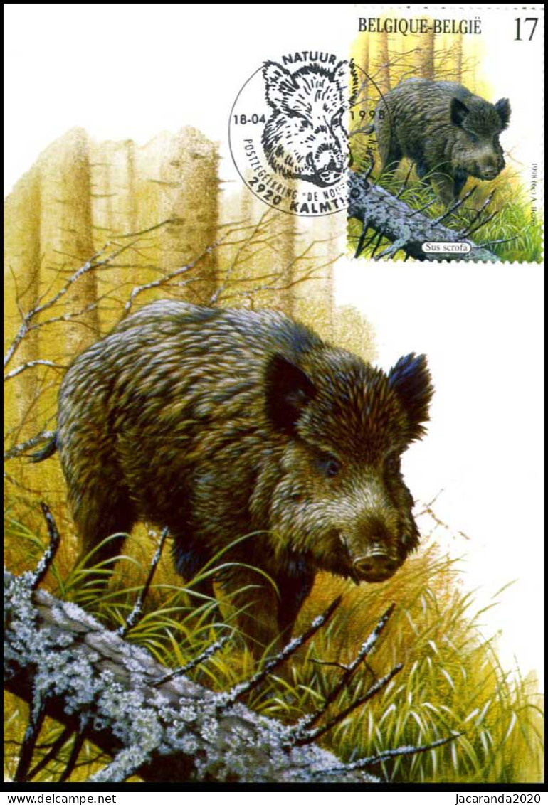 2750 - MK - Natuur - Zoogdieren Van De Ardennen - Mammifères - Buzin - Everzwijn - Le Sanglier - 1991-2000