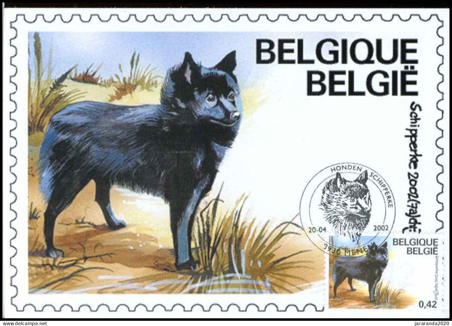 3064 - MK - Belgische Rashonden - Schipperke - 2001-2010