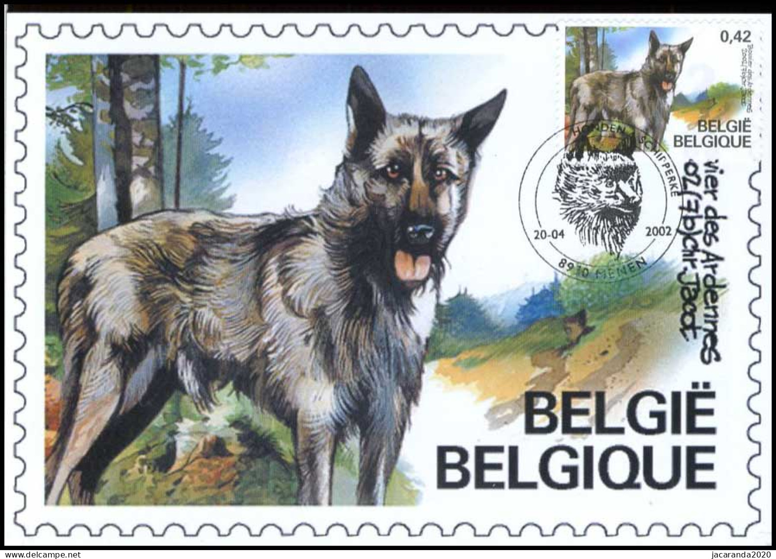 3065 - MK - Belgische Rashonden - Bouvier Des Ardennes - 2001-2010