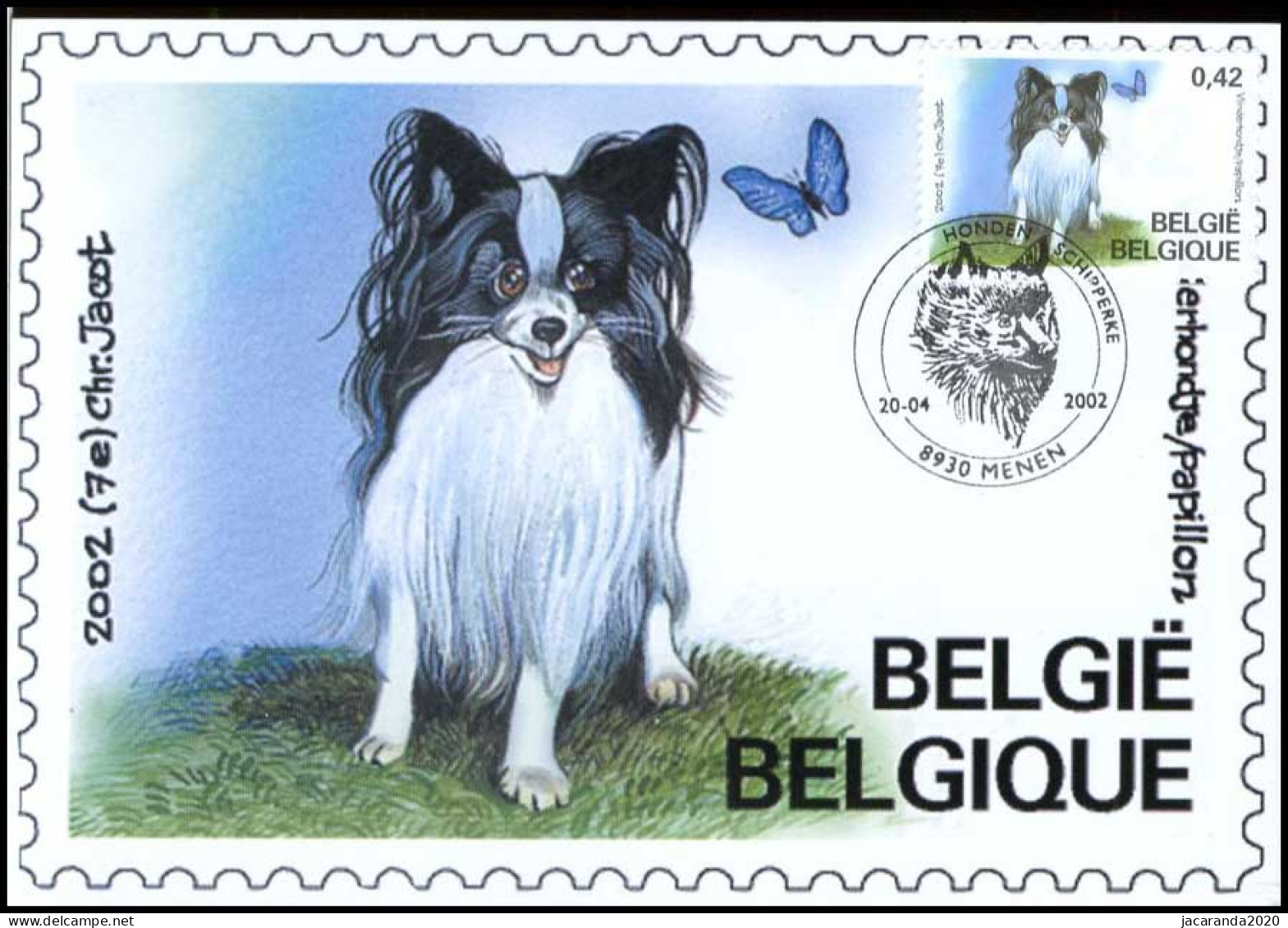 3068 - MK - Belgische Rashonden - Vlinderhondje - 2001-2010