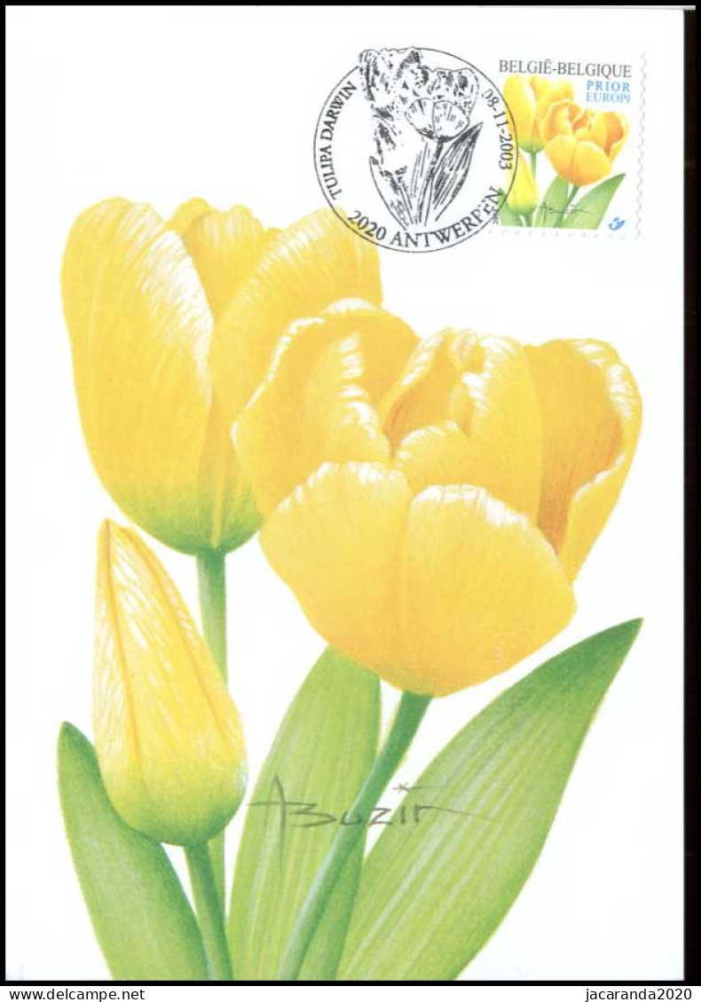 3223 - MK - Gele Tulp - 2001-2010