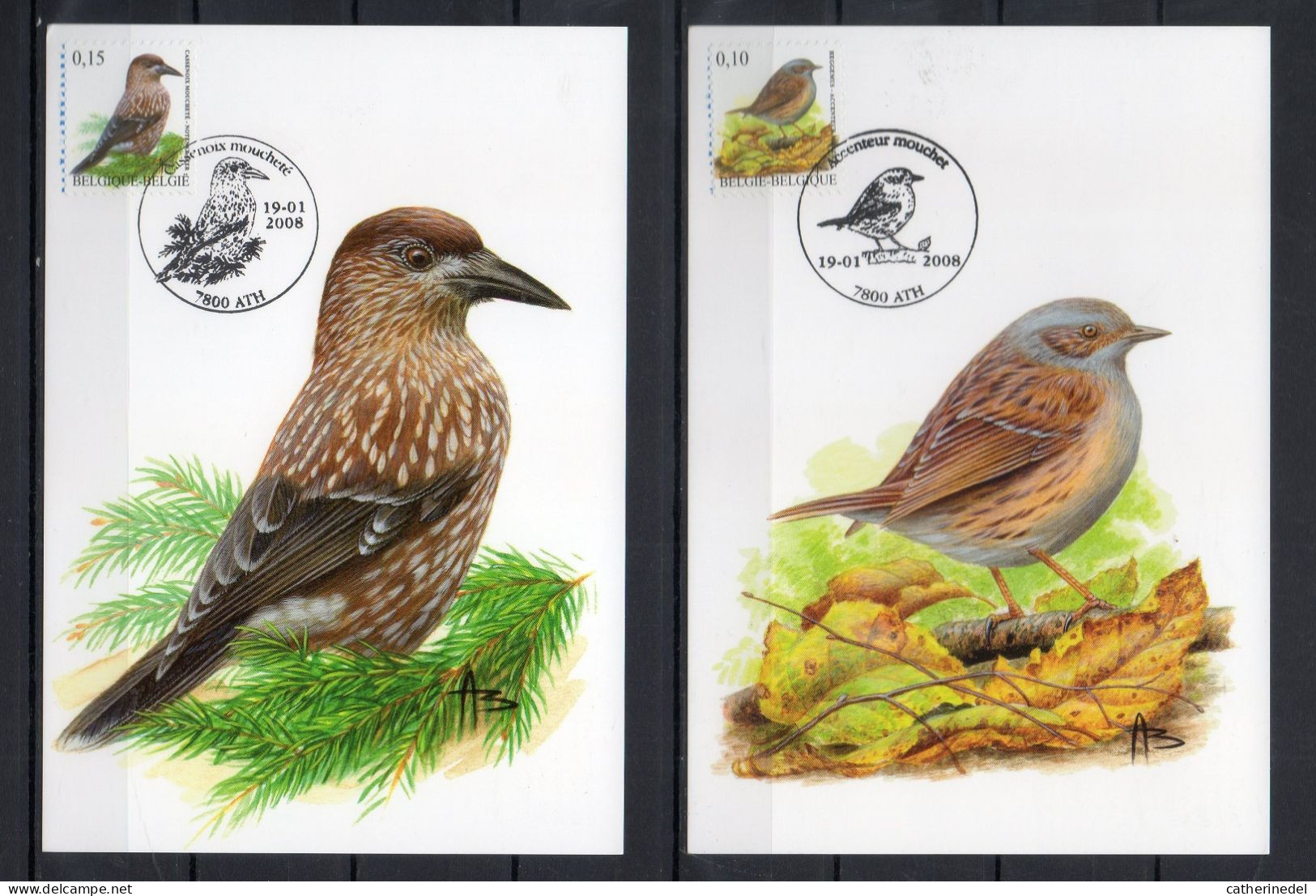 Année 2008 : Carte Maximum 3749-3750 - Oiseaux - Buzin - Obli. Ath - 2001-2010