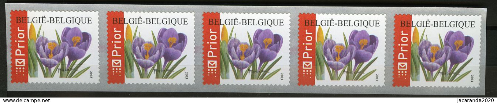 België R108 - Bloemen - Buzin (3227) - Crocus Vernus - 2003 - Strook Van 5 - Bande De 5 - Met Eindstreep - Rouleaux