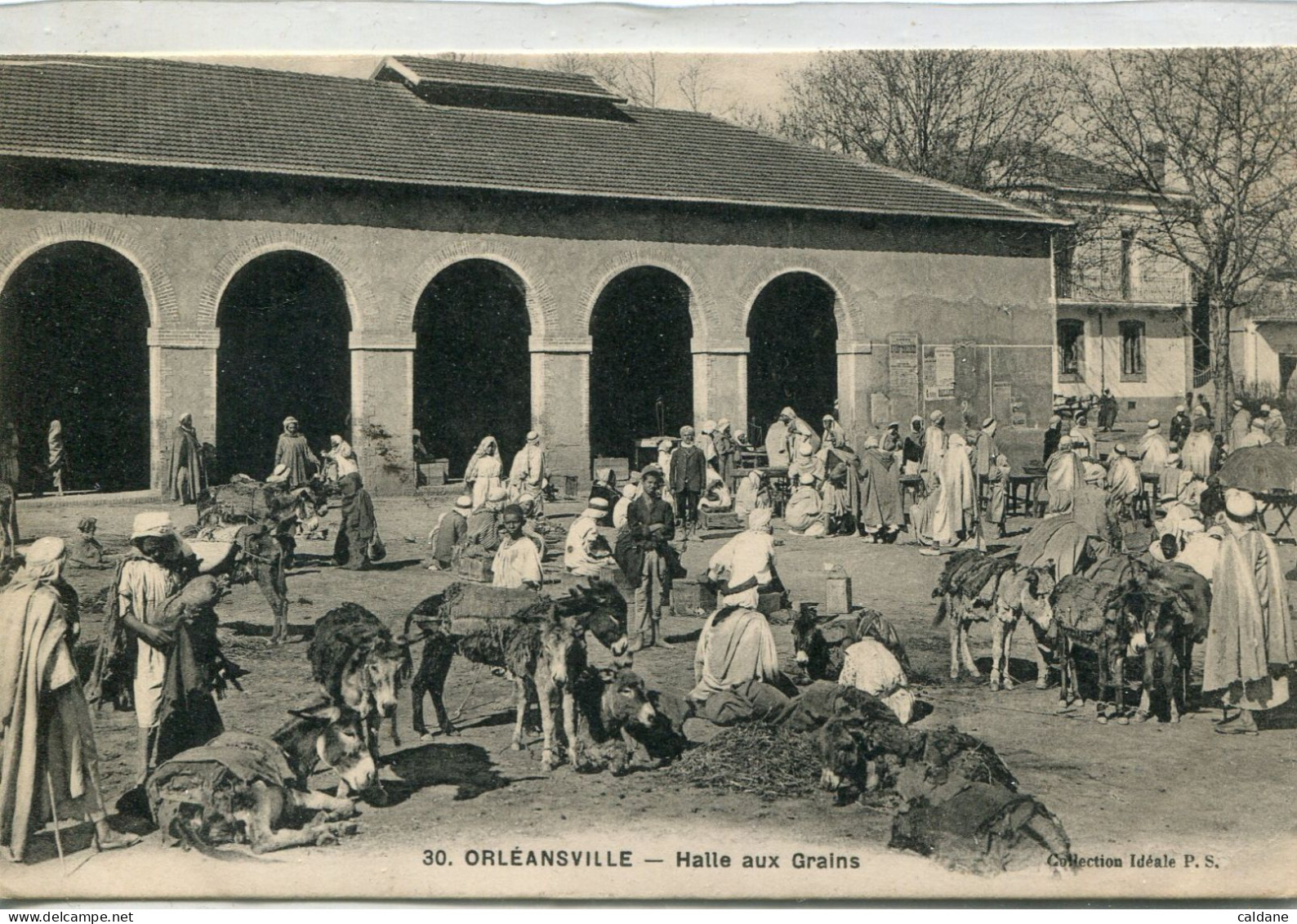 - AFRIQUE- ALGERIE- ORLEANSVILLE - Halle Aux Grains - Marchés