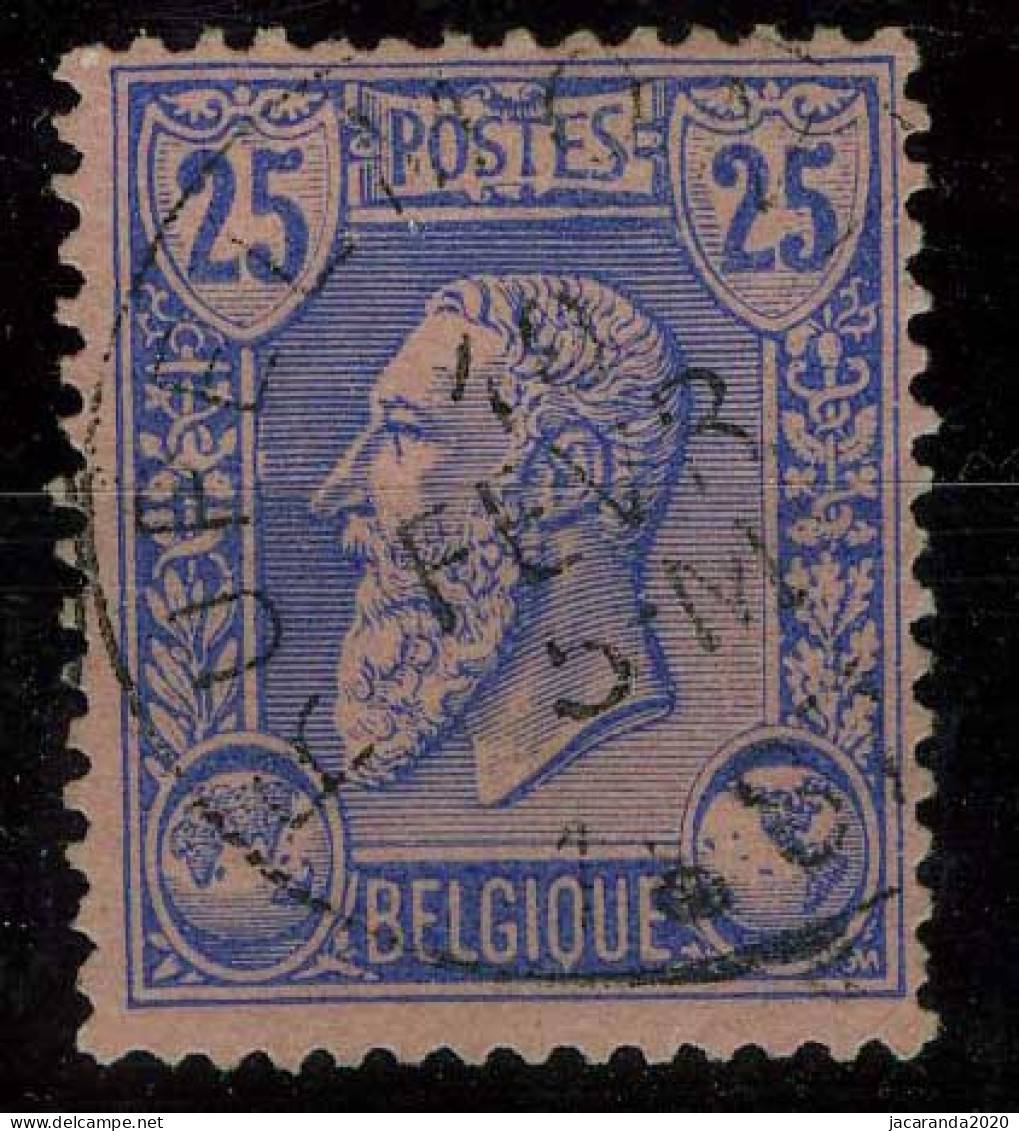 België 48-V3- Leopold II - Witte Vlek Onder 25 Rechts - Tache Blanche Sous Le Chiffre 25 à Droite - 1849-1900