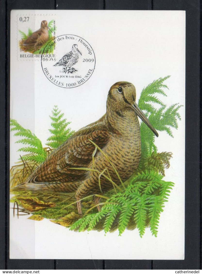 Année 2009 : Carte Maximum 3898 - Oiseaux - Bécasse Des Bois - Buzin - Obli. Bruxelles-Brussel - 2001-2010