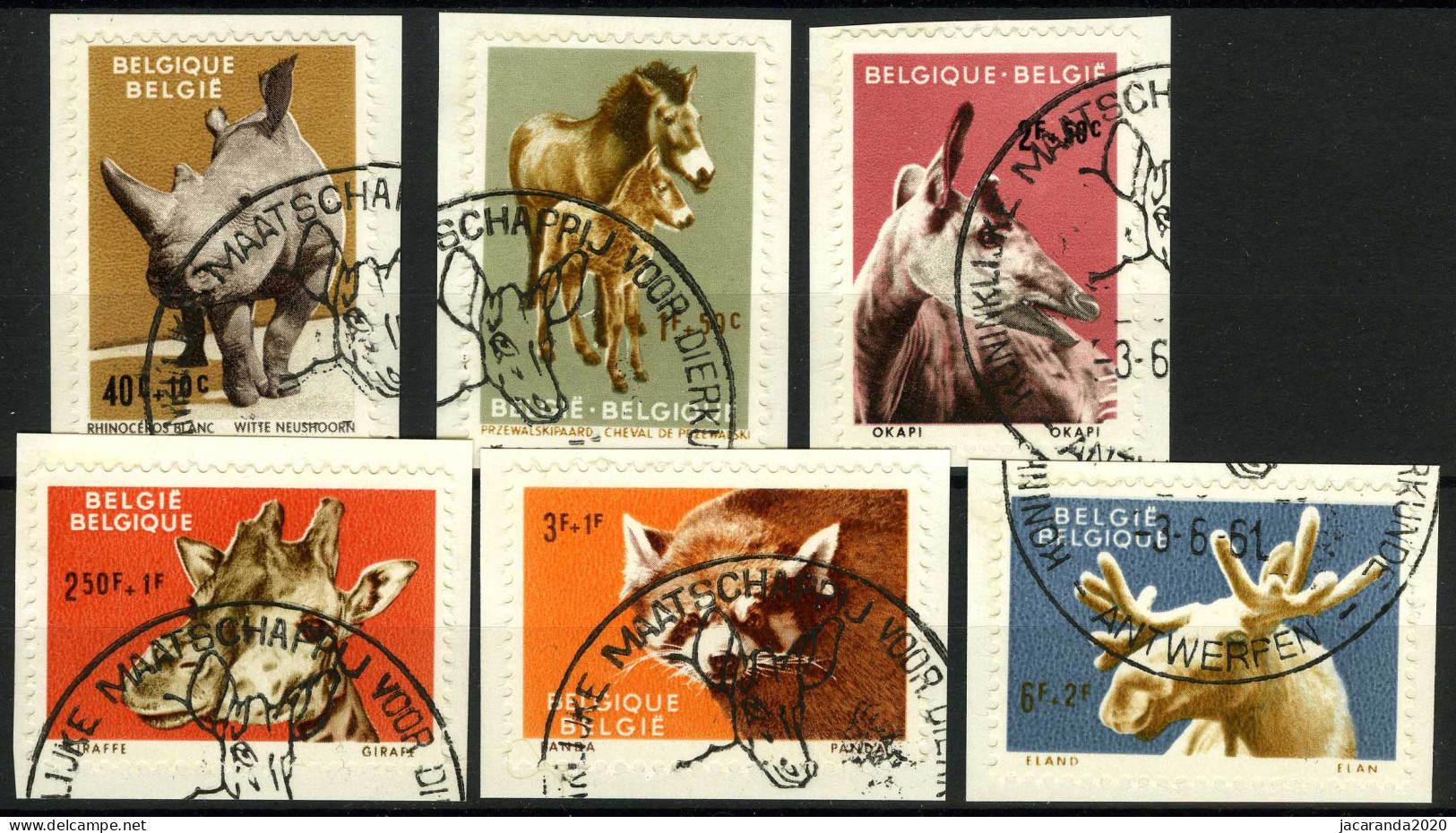 België 1182/87 - Dieren - Zoo Van Antwerpen I - Animaux - Zoo D'Anvers I - O - Used - Used Stamps