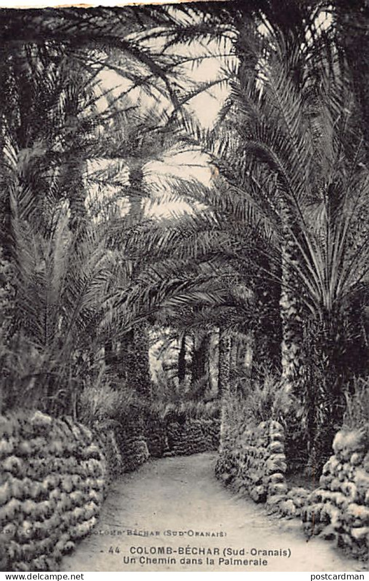 Algérie - COLOMB BÉCHAR - Un Chemin Dans La Palmeraie - Ed. Ch. Pastor 44 - Bechar (Colomb Béchar)