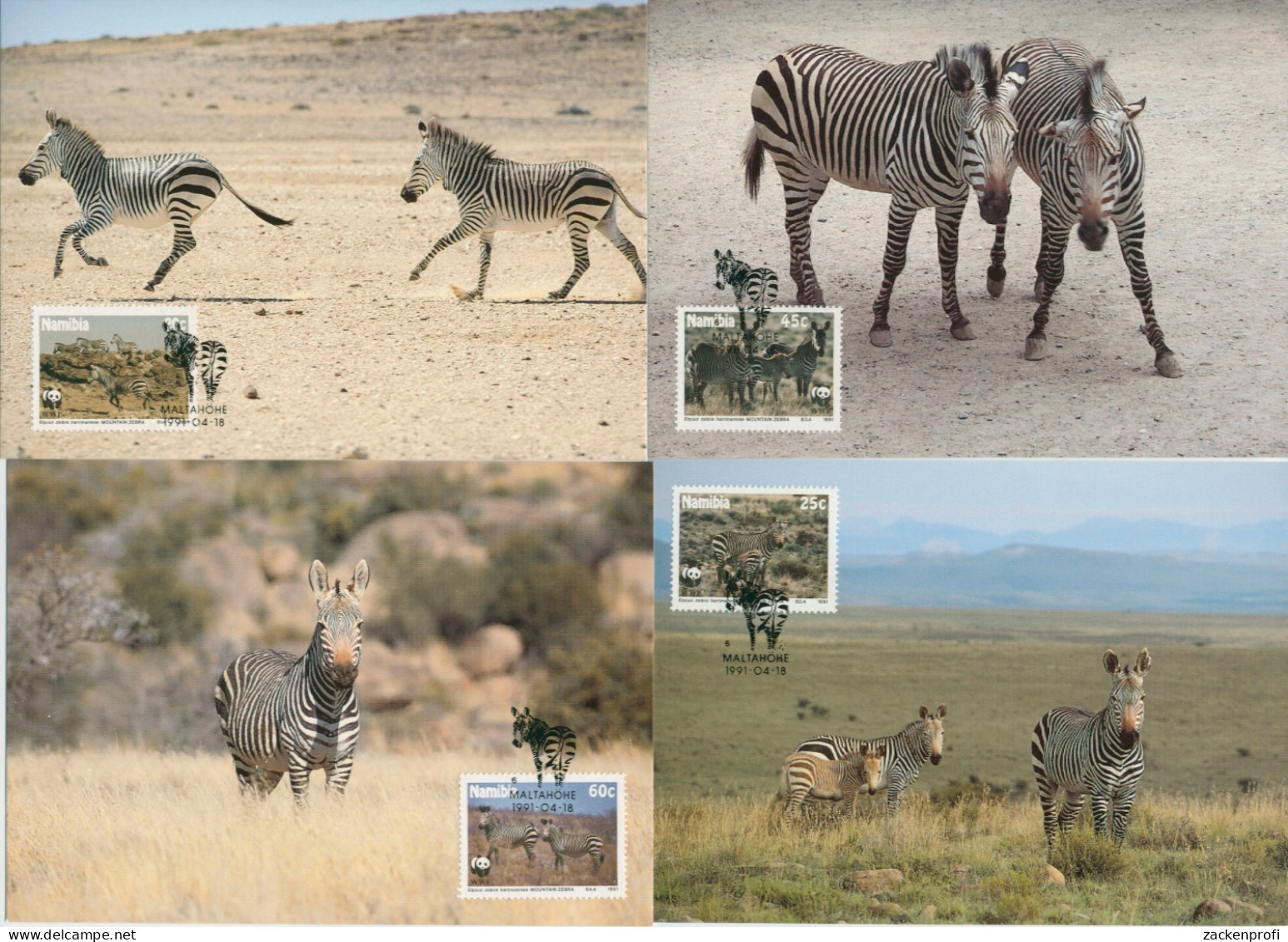 Namibia 1991 WWF Naturschutz Bergzebra 702/05 Maximumkarten (X30682) - Namibia (1990- ...)