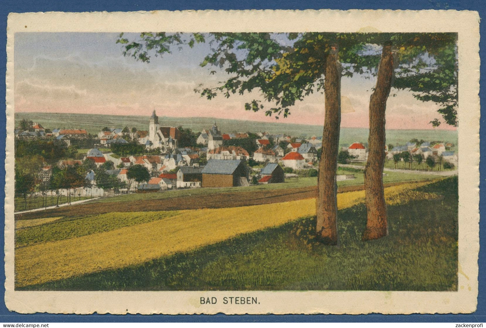 Bad Steben Gesamtansicht, Gelaufen 1917 Marke Fehlt (AK3191) - Bad Steben