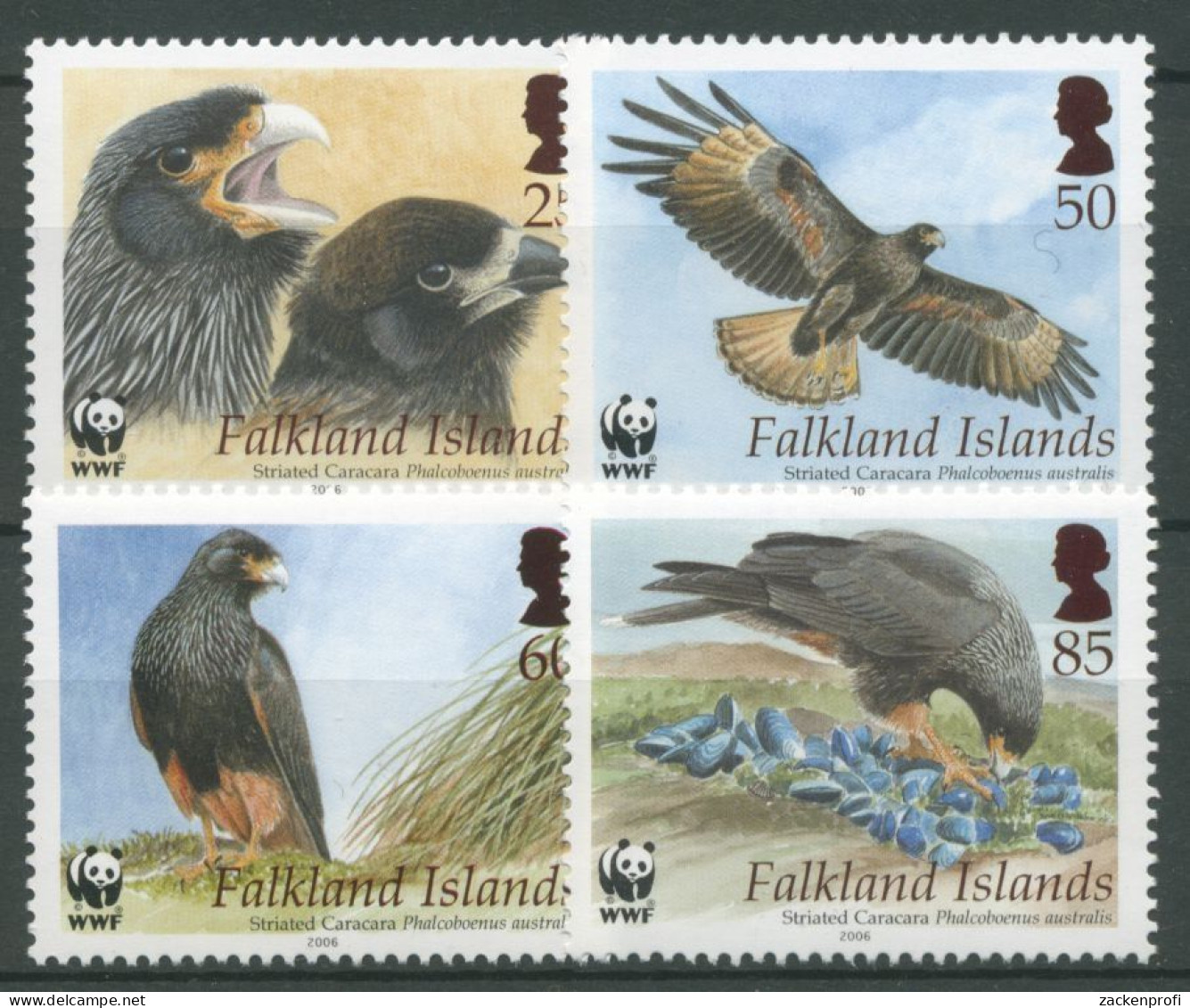 Falkland 2006 WWF Naturschutz Falklandkarakara 976/79 Postfrisch - Falklandeilanden