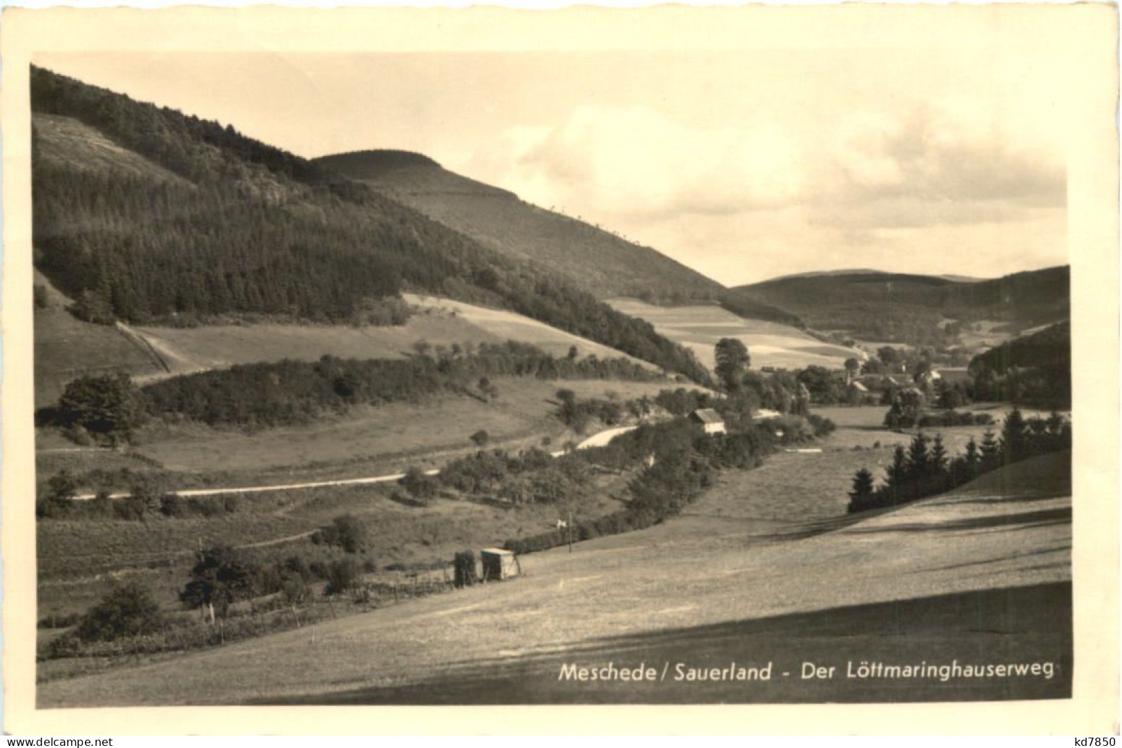 Meschede Im Sauerland - Der Löttmaringhauserweg - Meschede