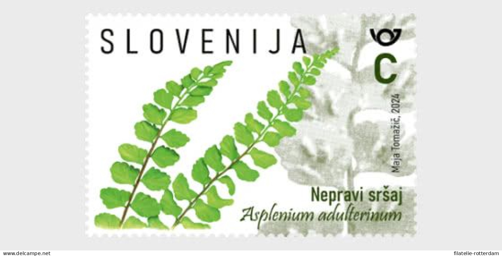 Slovenia / Slovenië - Postfris / MNH - Complete Set Flora 2024 - Eslovenia