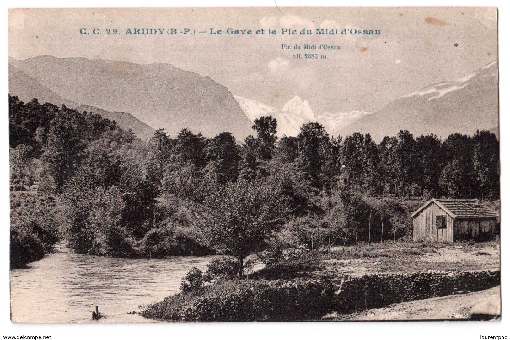Arudy - Le Gave Et Le Pic Du Midi D'Orsau - édit. C.C. Carrache 29 + Verso - Arudy
