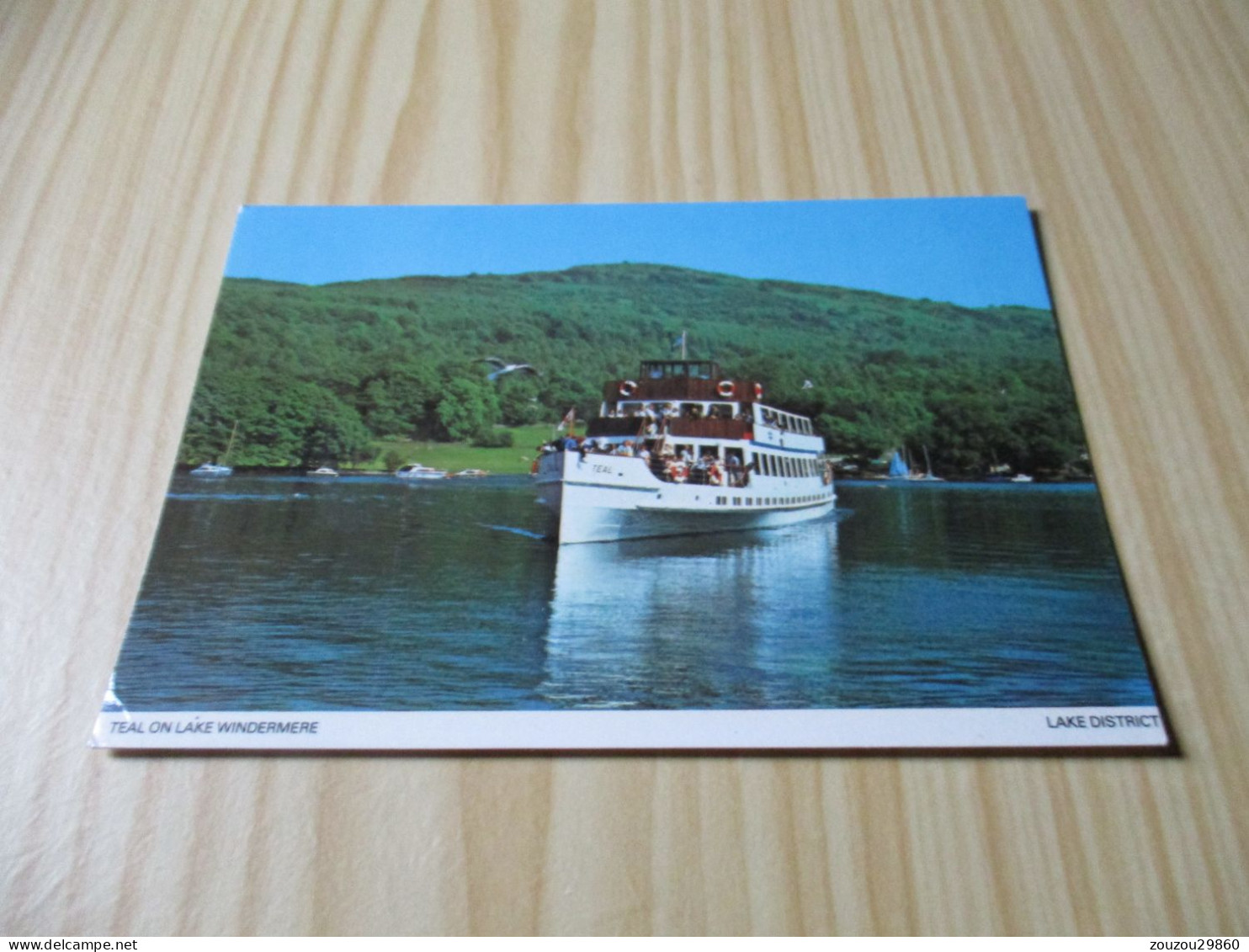 Lake District (Royaume-Uni).Teal On Lake Windermere. - Windermere