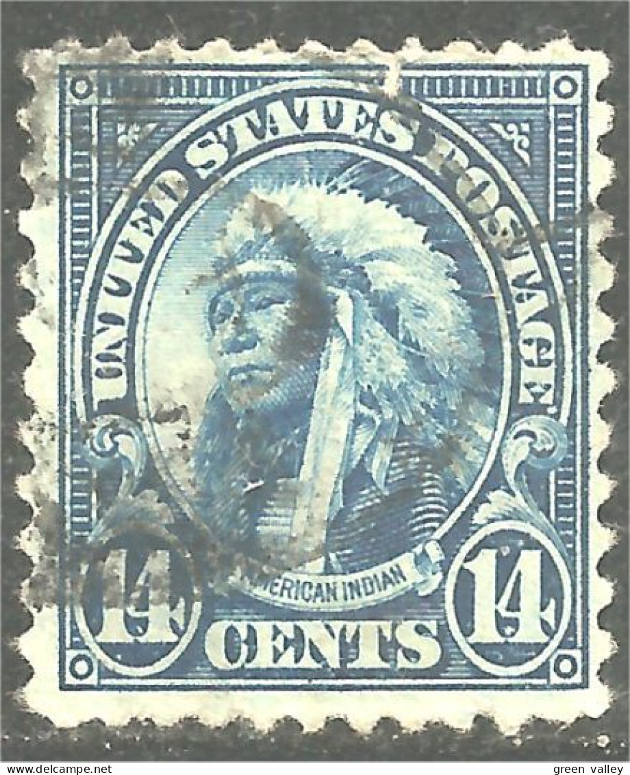 912 USA 1931 14c American Indian Chief MNH ** Neuf SC (USA-346) - Gebruikt