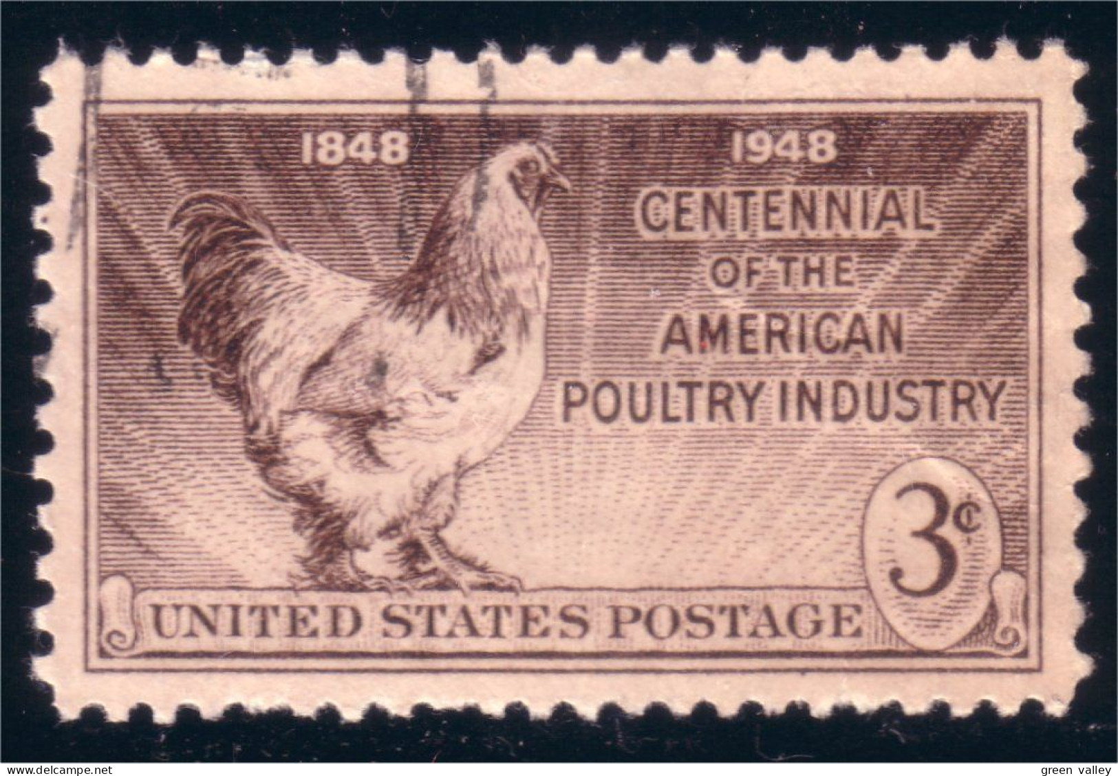 912 USA Coq Rooster Huhn (USA-186) - Hühnervögel & Fasanen