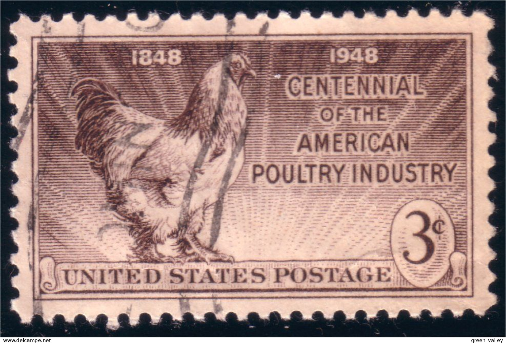 912 USA Coq Rooster Huhn (USA-185) - Galline & Gallinaceo