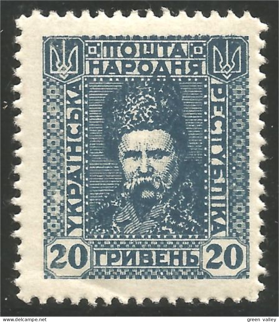 900 Ukraine 1920 20H MNH ** Neuf SC (UKR-64) - Ukraine