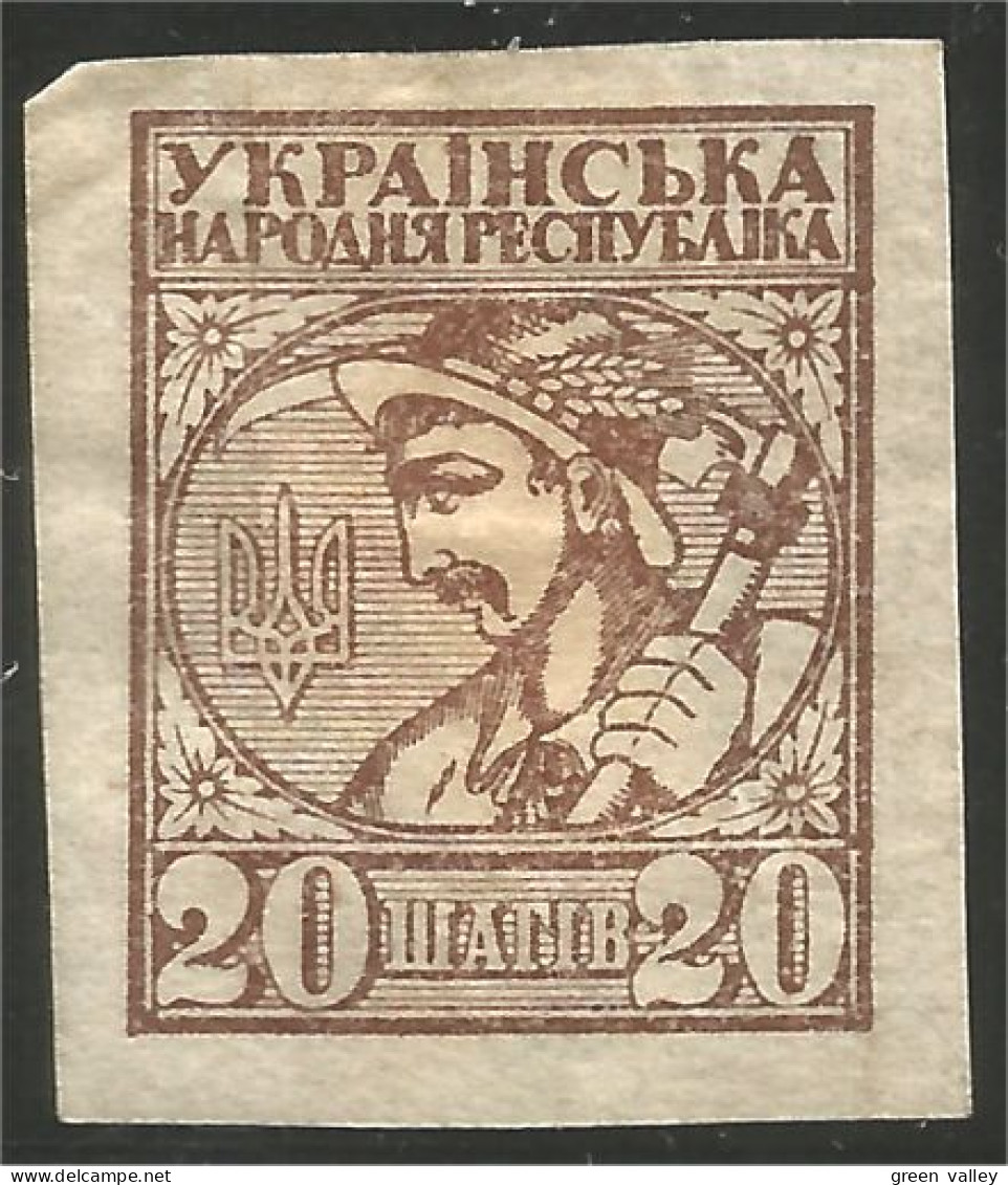 900 Ukraine 1918 20c MH * Neuf (UKR-22) - Ukraine