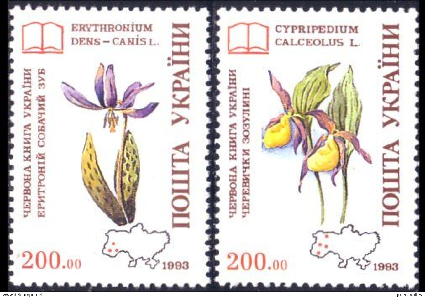 900 Ukraine Orchidées Orchids MNH ** Neuf SC (UKR-1b) - Orchidées