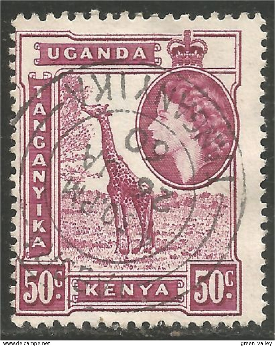 898 Uganda Girafe Giraffe Girafa (UGA-79a) - Uganda (1962-...)