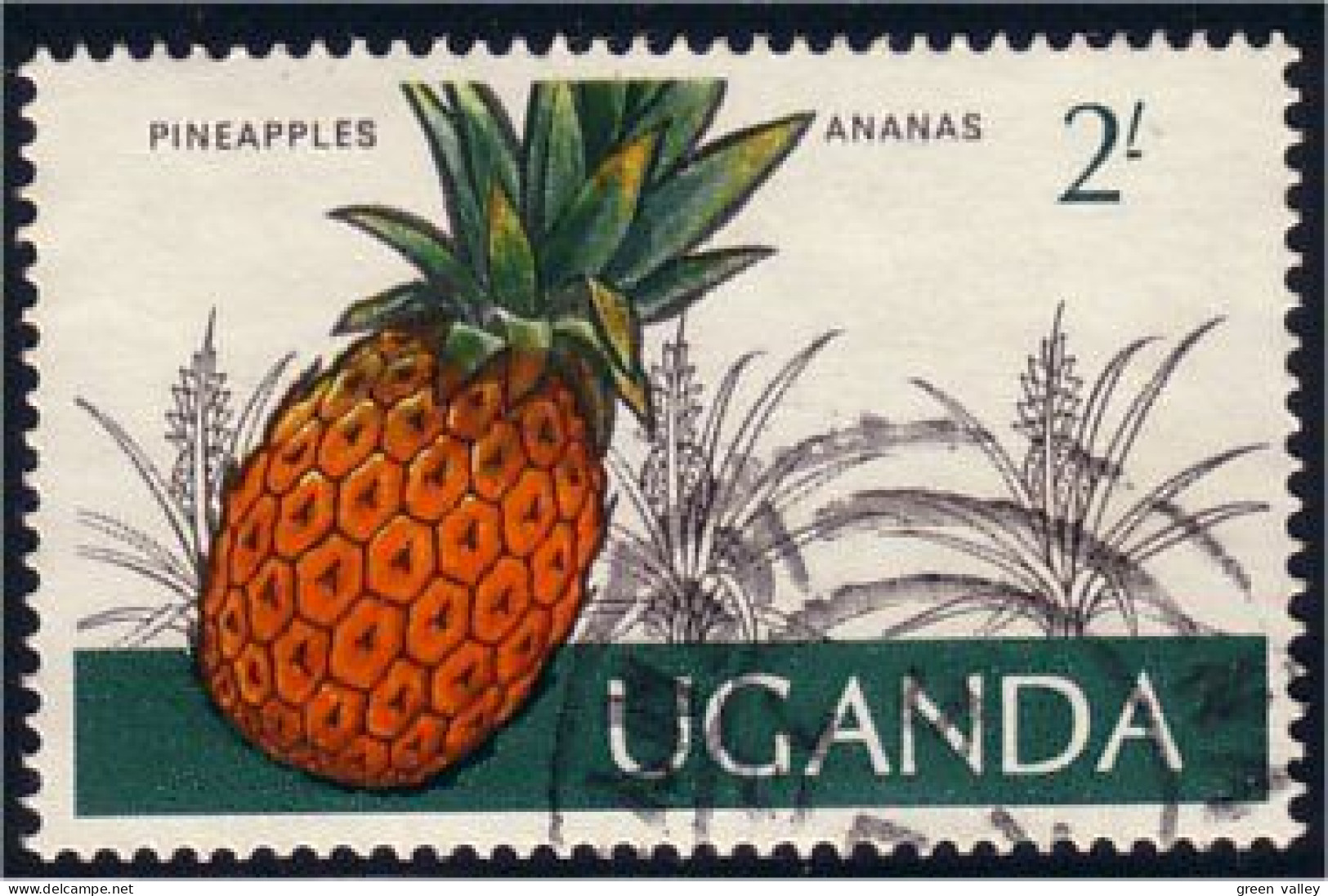 898 Uganda Ananas Pineapple (UGA-50) - Fruits