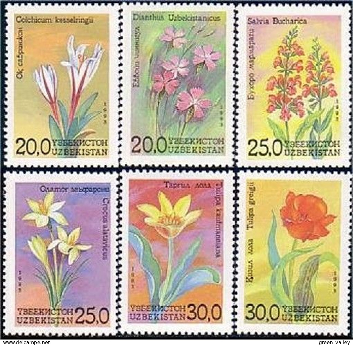 918 Uzbekistan Flowers Blumen Fleurs MNH ** Neuf SC (UZB-1a) - Ouzbékistan