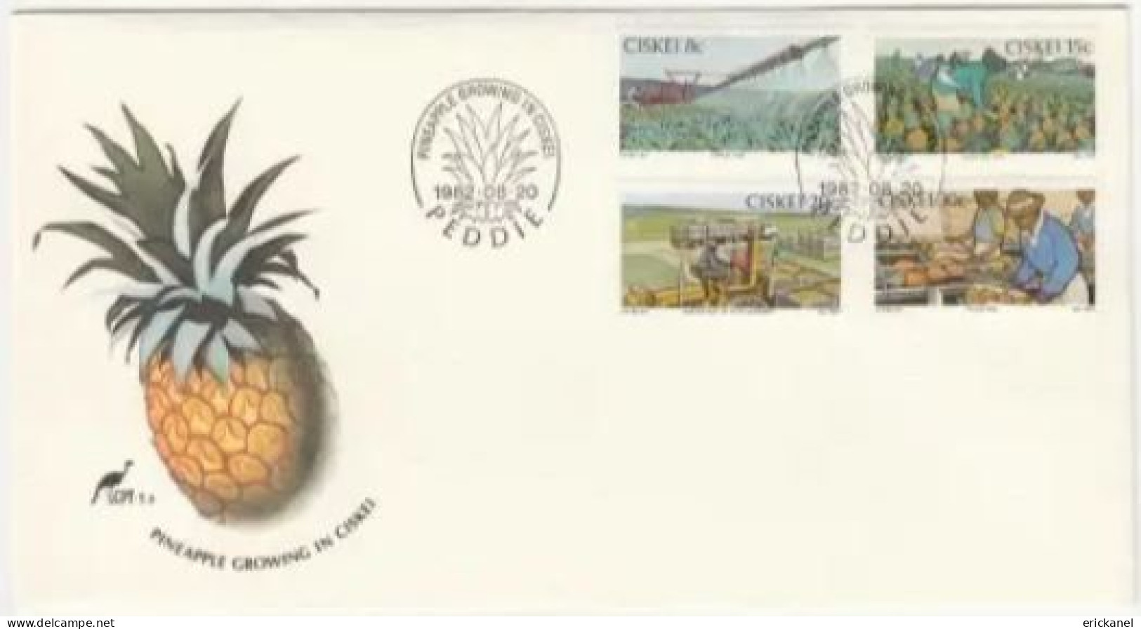 1982 Ciskei Pineapples FDC 1.3 - Ciskei