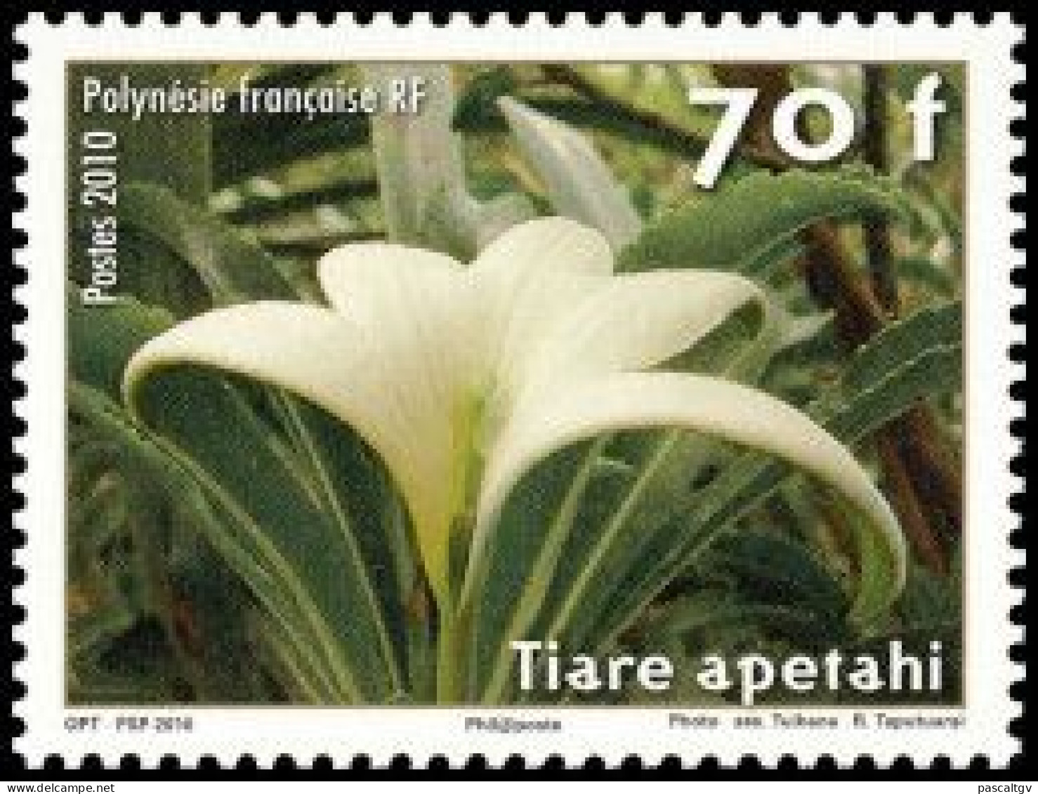 Polynésie Française - 2010 - N° 904 ** - Unused Stamps