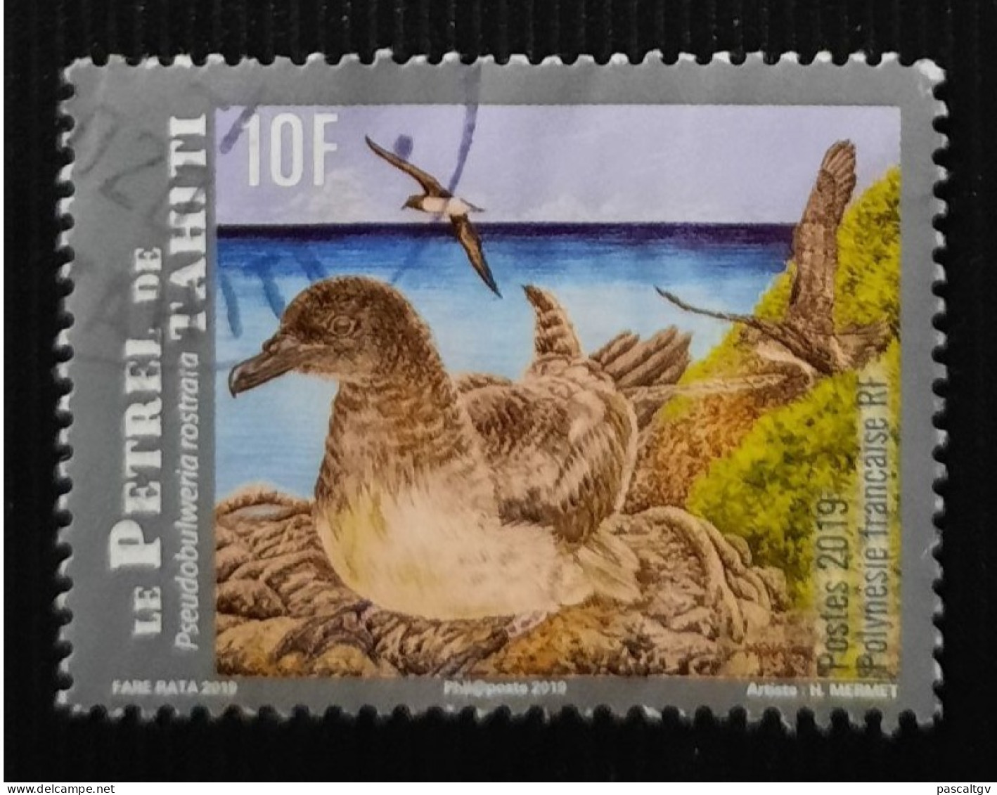 Polynésie Française - 2019 - N° 12.. Oblitéré - Used Stamps