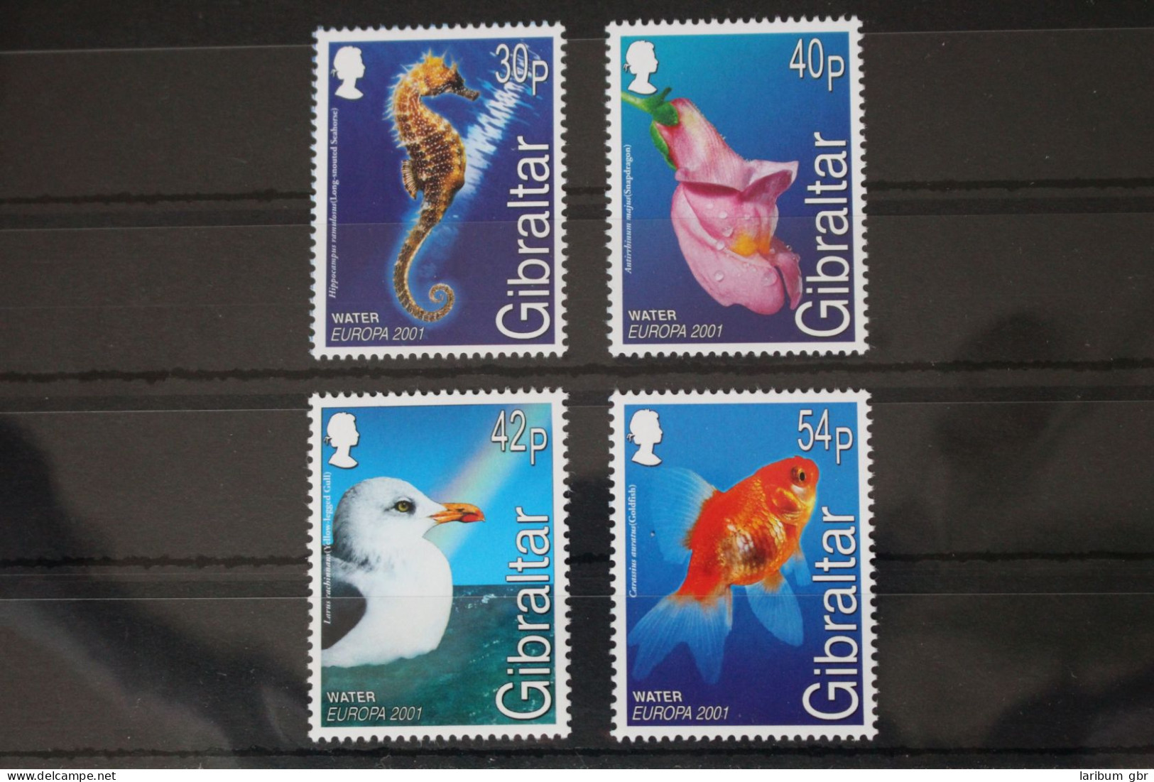 Gibraltar 962-965 Postfrisch Europa Lebensspender Wasser #WT072 - Gibilterra