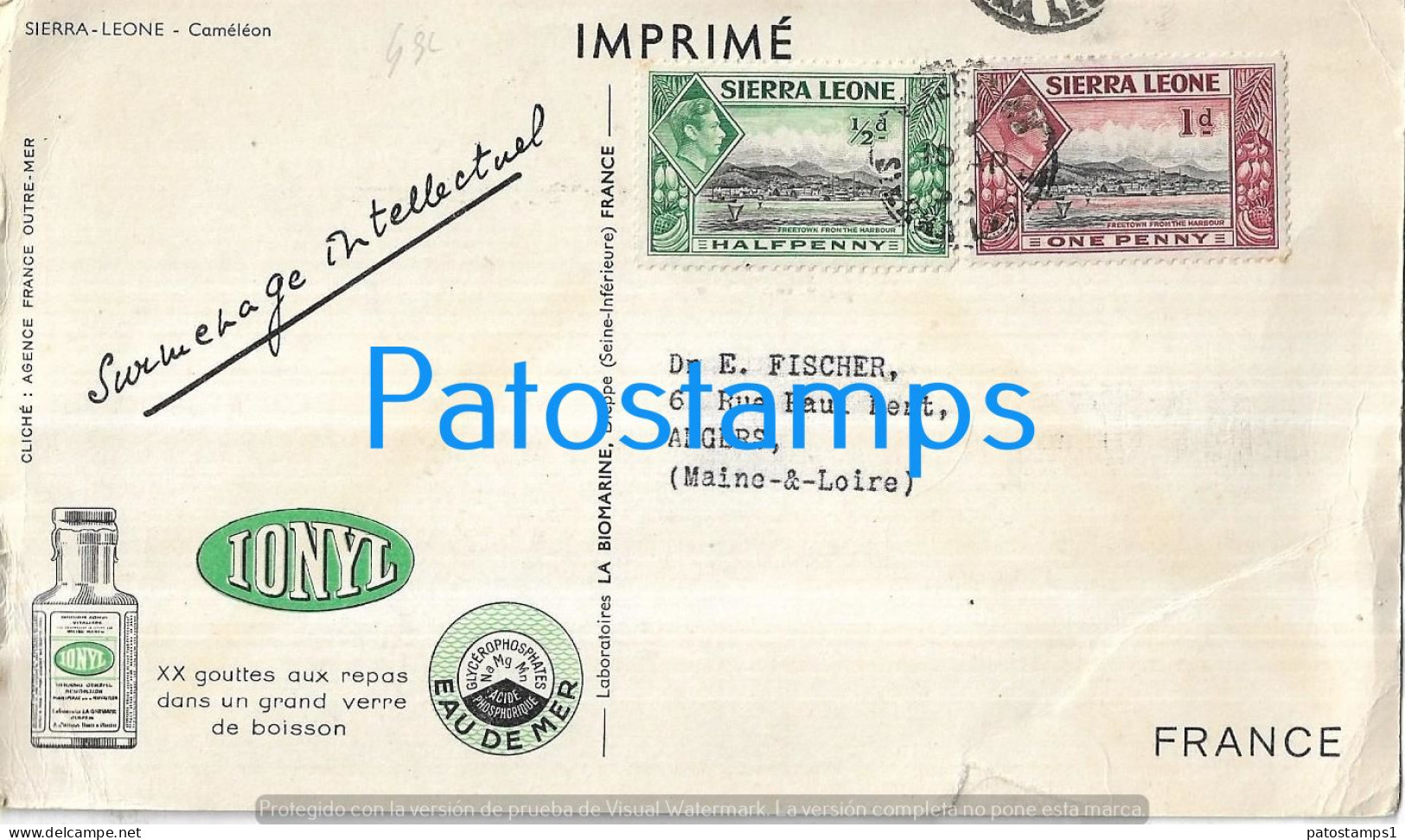 226283 AFRICA SIERRA LEONE ANIMAL CAMALEON PUBLICITY IONYL BREAK CIRCULATED TO FRANCE  POSTAL POSTCARD - Sierra Leone