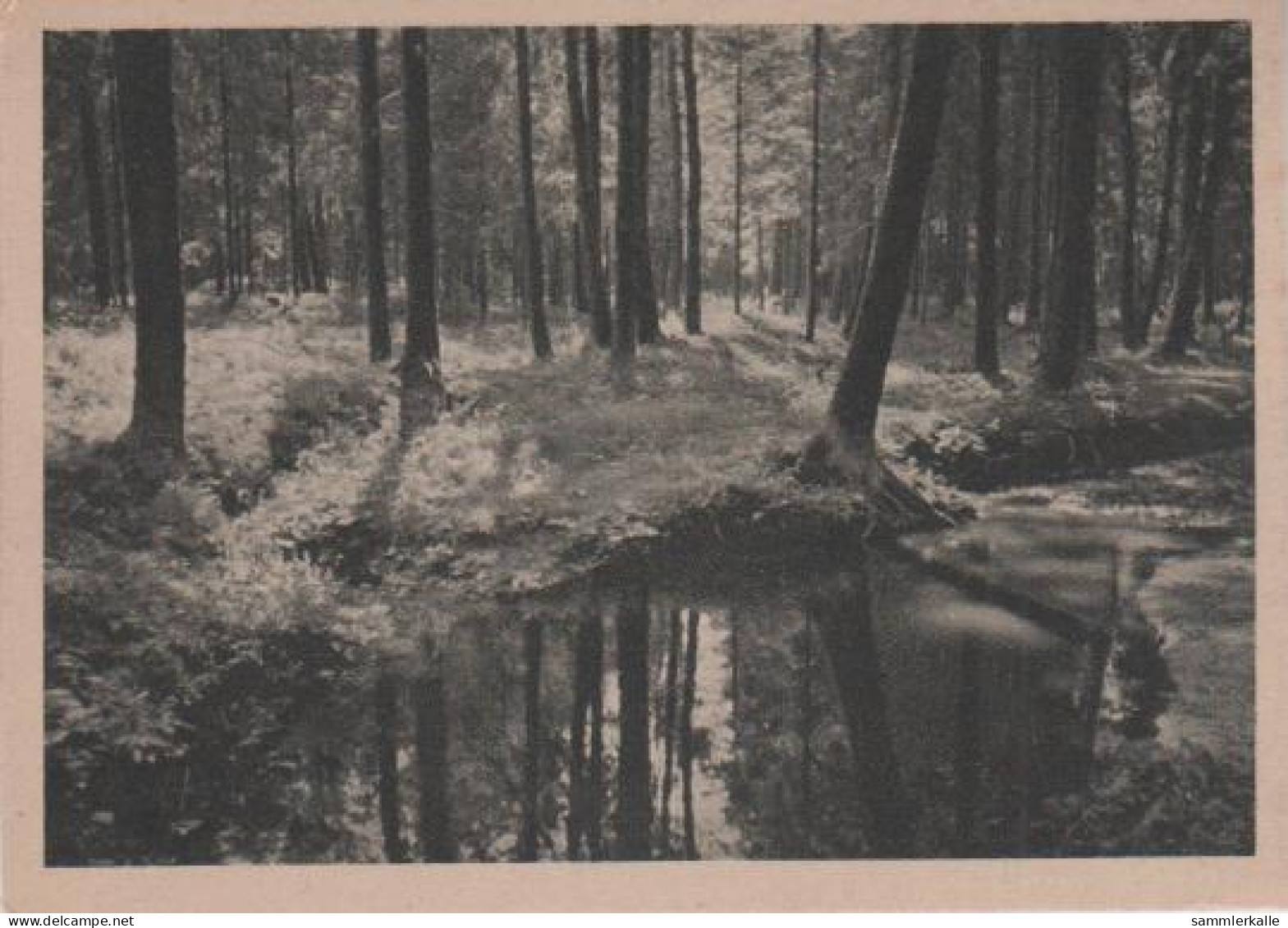 5087 - Bach Im Wald - Ca. 1935 - Maps