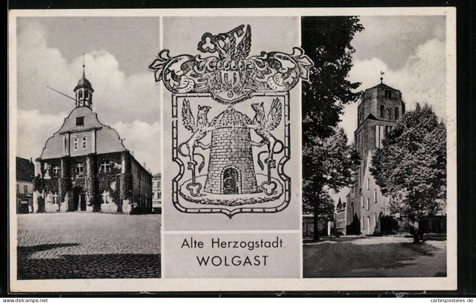 AK Wolgast, Rathaus, Wappen Der Alten Herzogstadt  - Wolgast