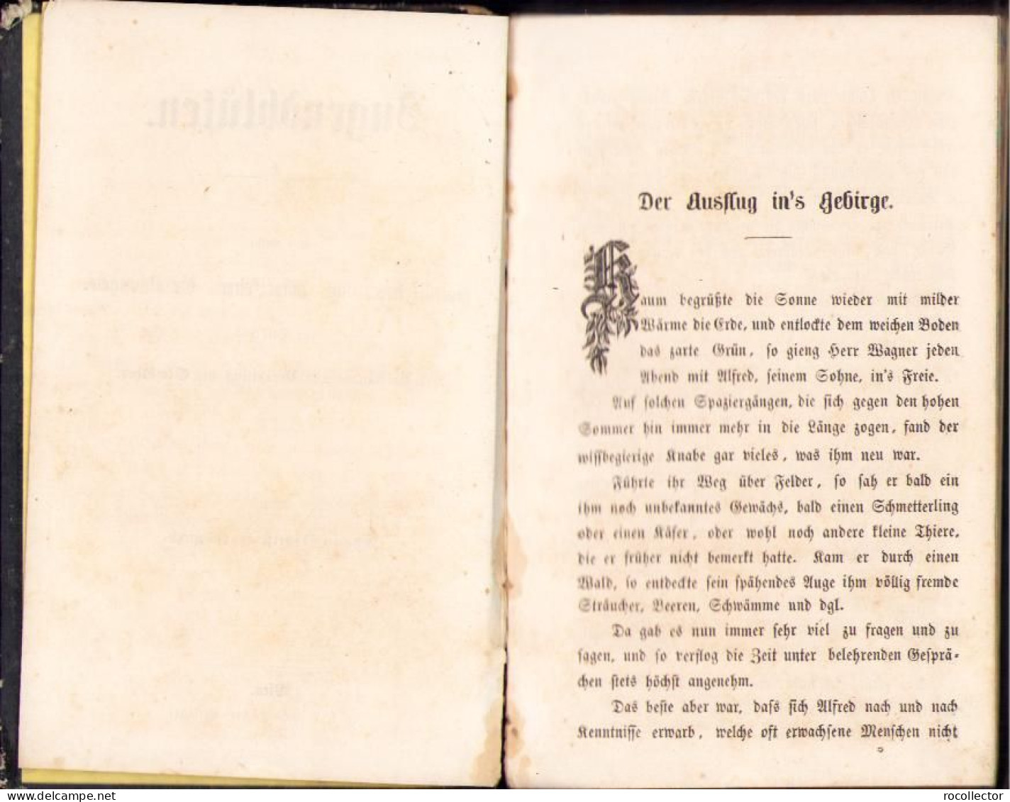 Jugendblüten. Eine Reihe Moralischer Und Historischer Erzählungen Zur Bildung Des Verstandes Und Veredelung ... 1857 - Libros Antiguos Y De Colección