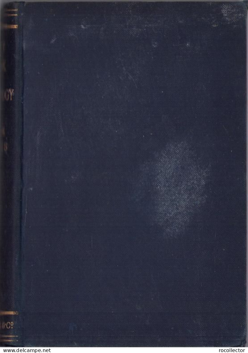 Text Book Of Psychology By William James, 1892, London C1651 - Libros Antiguos Y De Colección