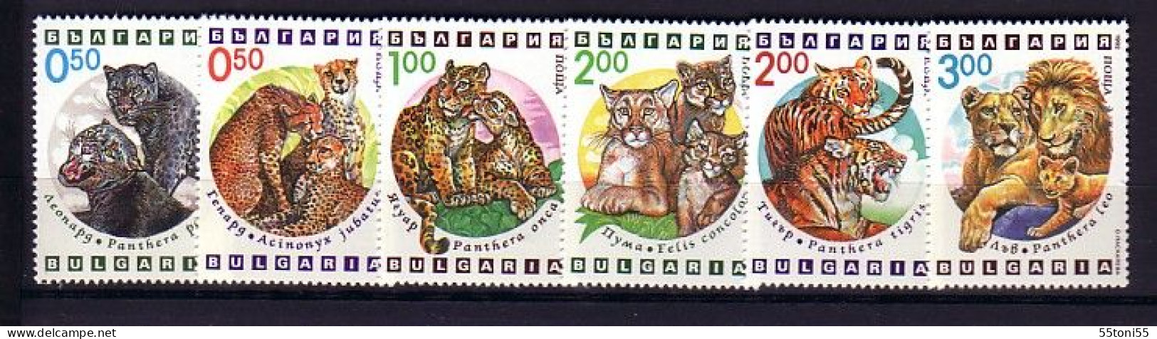 1992 Fauna W.ANIMALS - FELINES  6 V.- MNH  BULGARIA  / Bulgarie - Nuovi