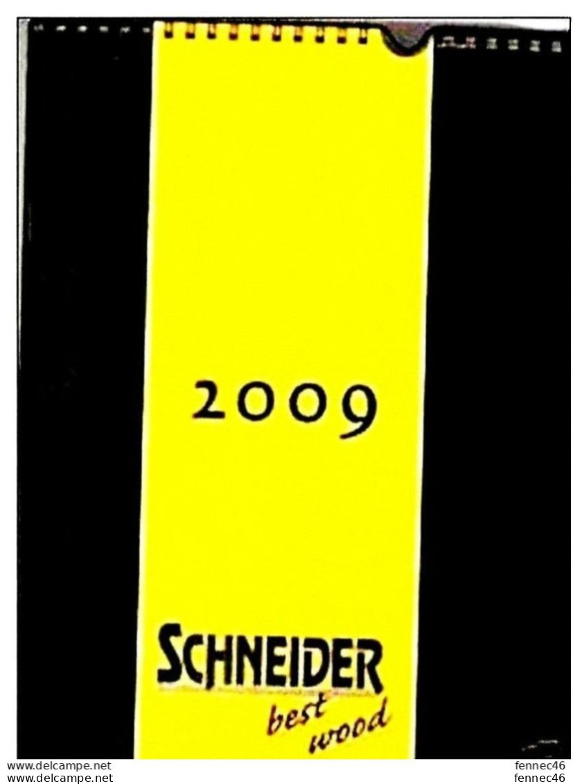 * CALENDRIER 2009 - érotique Masculin- Schneider Best Wood - Grand Format : 2001-...