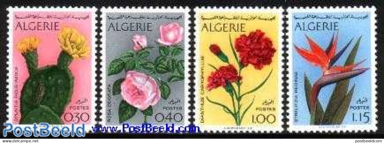 Algeria 1973 Flowers 4v, Mint NH, Nature - Cacti - Flowers & Plants - Roses - Unused Stamps