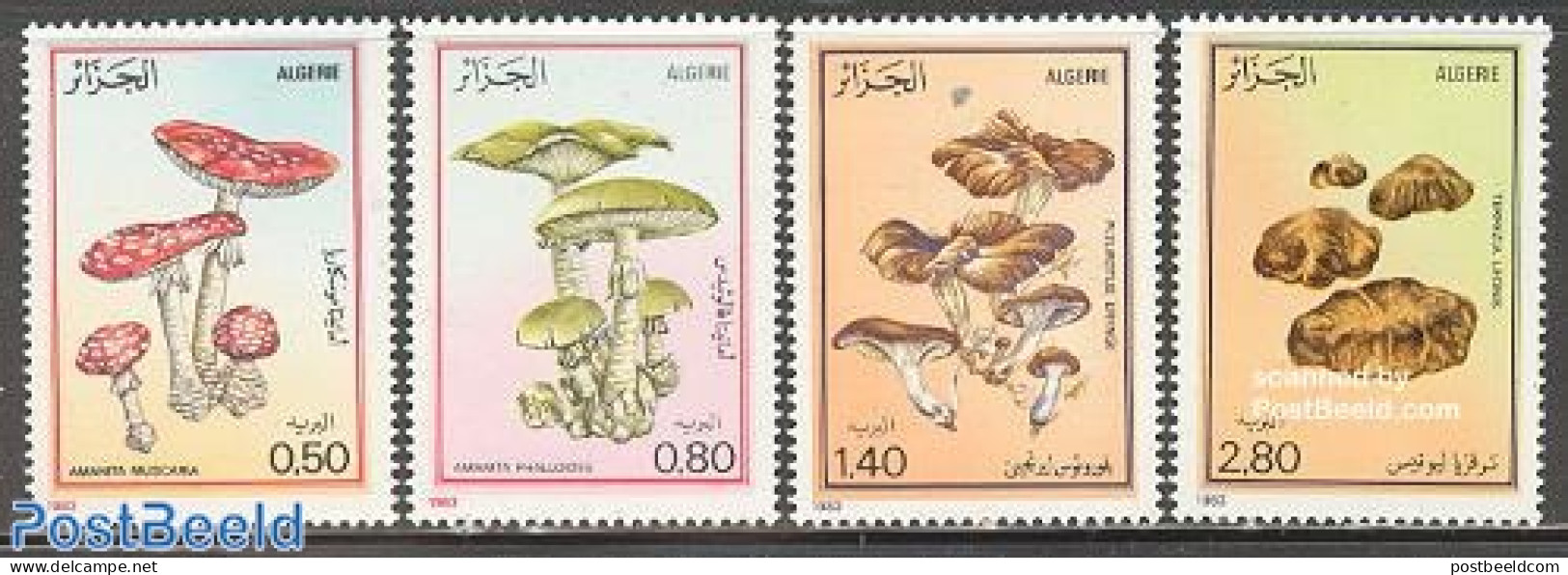 Algeria 1983 Mushrooms 4v, Mint NH, Nature - Mushrooms - Ongebruikt
