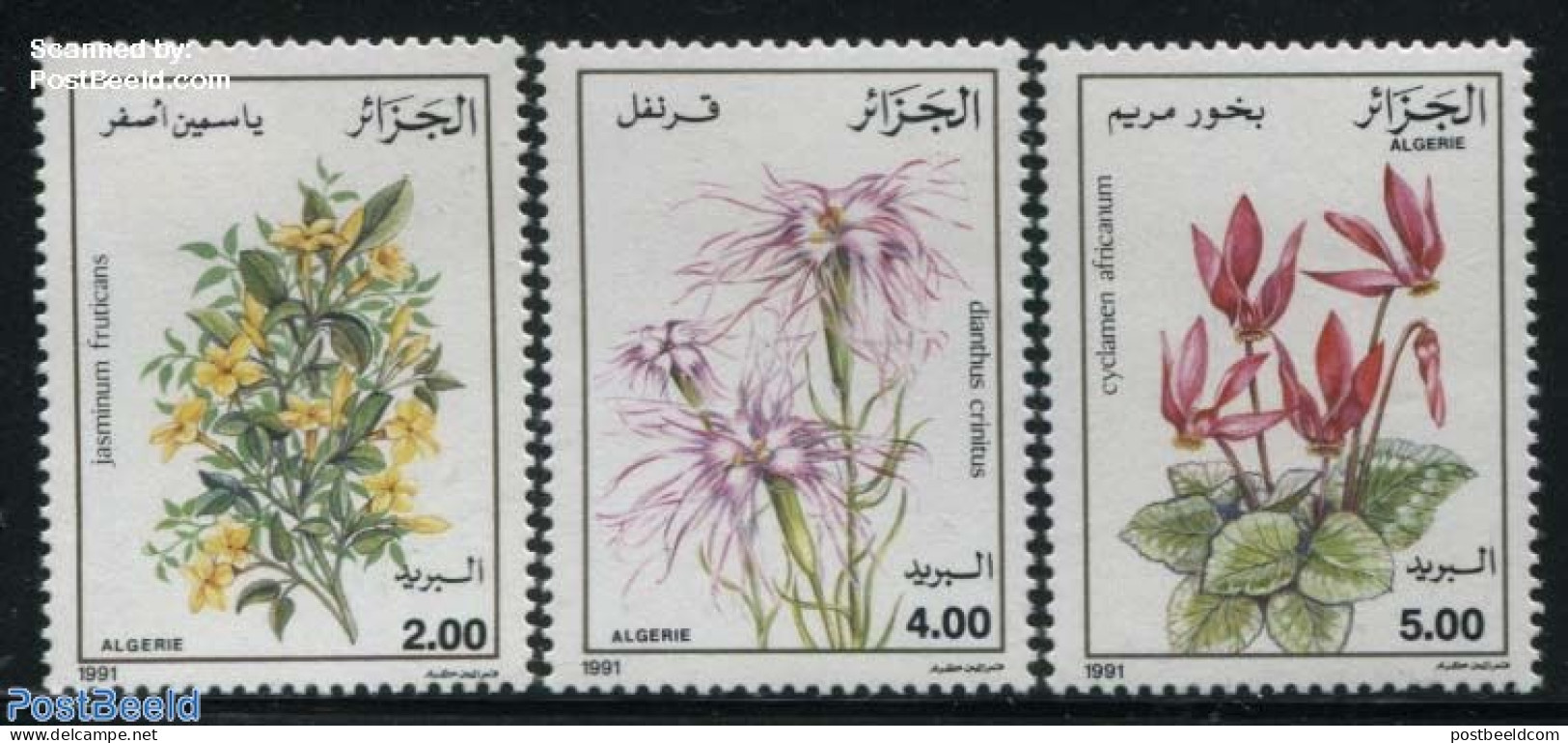 Algeria 1991 Flowers 3v, Mint NH, Nature - Flowers & Plants - Unused Stamps