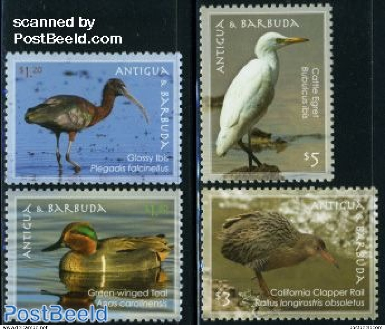 Antigua & Barbuda 2009 Birds 4v, Mint NH, Nature - Birds - Ducks - Antigua Et Barbuda (1981-...)