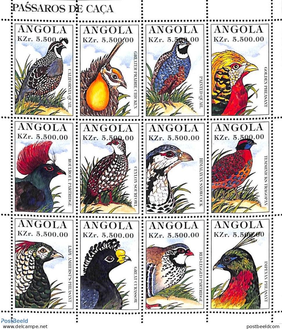 Angola 1996 Birds 12v M/s, Mint NH, Nature - Birds - Angola